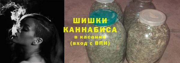 прущие грибы Семилуки